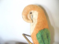 parrot old_03